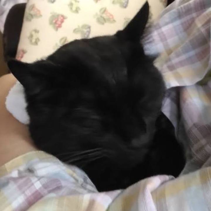 9749d6a2 c976 4b30 9931 03c2f0f36631 1690426446432