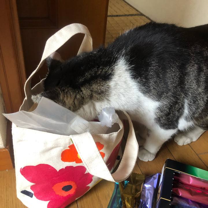 9749dd72 3353 4f1f 868a 007295246282 1556008604419