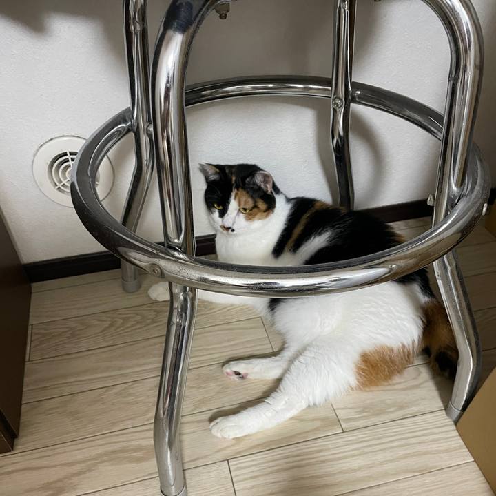 9749e917 dc49 4809 96d6 e4a533fbc34e 1754993237056