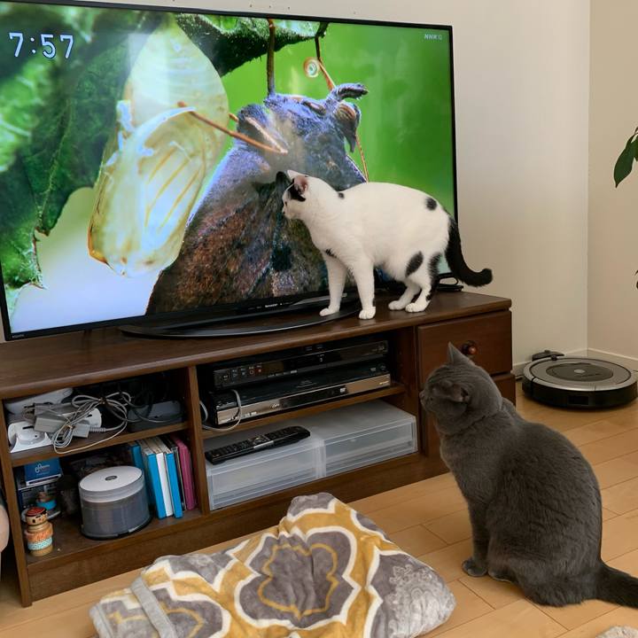 9749eca7 e983 4f05 b4b6 1329c03f6515 1609024185128