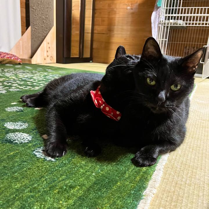 974a02aa fc73 4530 8f52 8f6266fe5be7 1695634175405