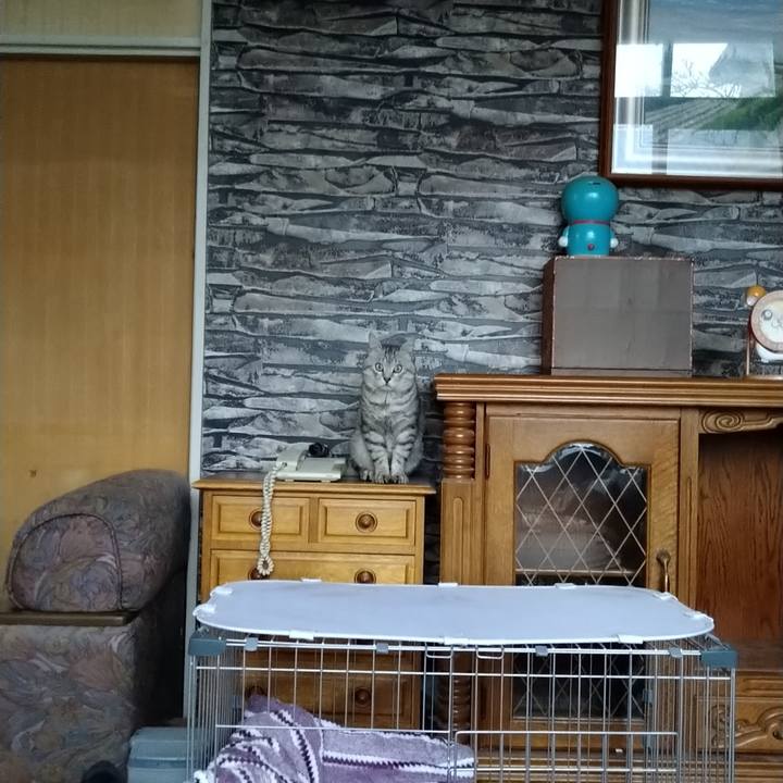 974a2d8d d62e 4794 a4b0 efe586a49219 1589530883927