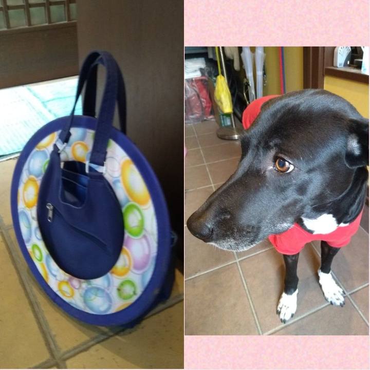 974a3d24 492c 437d 9049 a988d87337d6 1618535346567