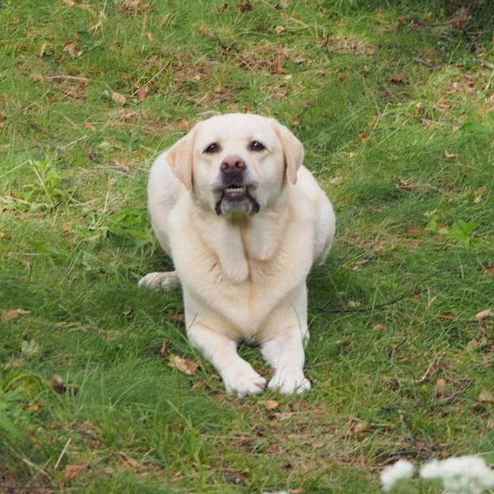 974a70d5 64be 4641 a5ae 4cb5d1bcda95 1710819693458