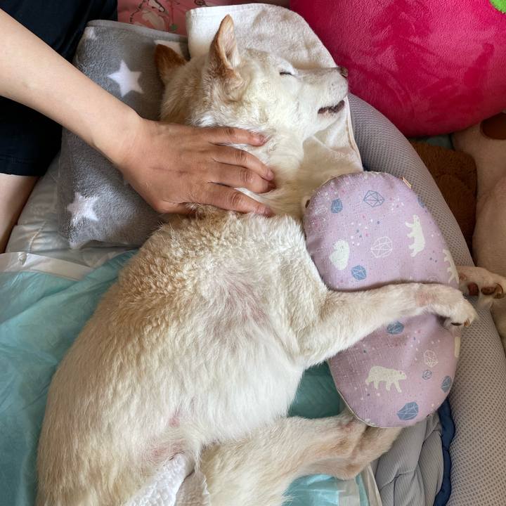 974a7756 d5b7 445d a779 a6eaa6476a74 1679966233271