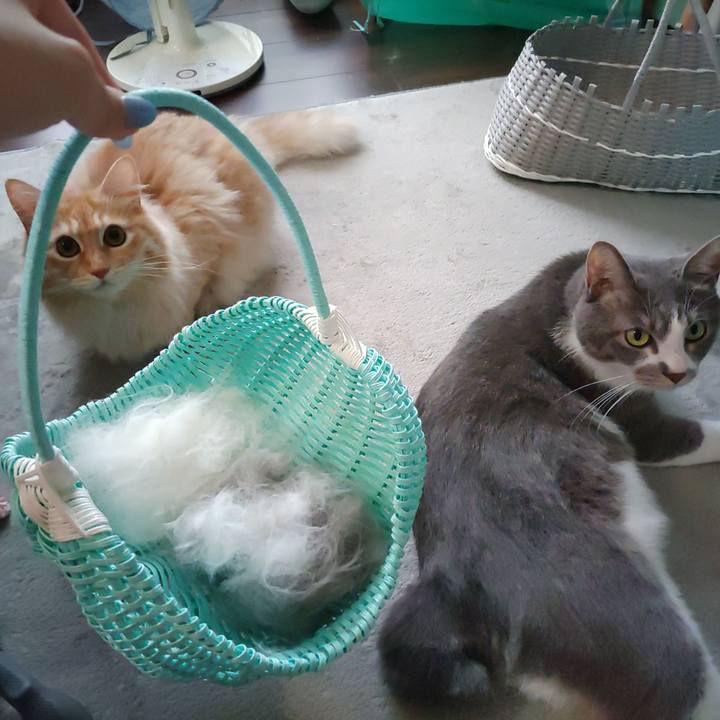 974a7d1d 52ed 4dec 803a f8e3a58fac3b 1657948711957