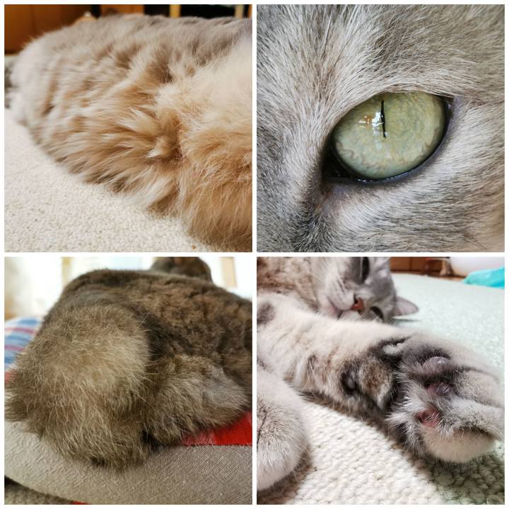 974aa375 3264 481c ab19 c058efcb89f6 1664375732207