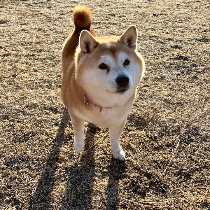 974ad772 6752 4bb5 96cf 970e1ce78a6f 1707025267181