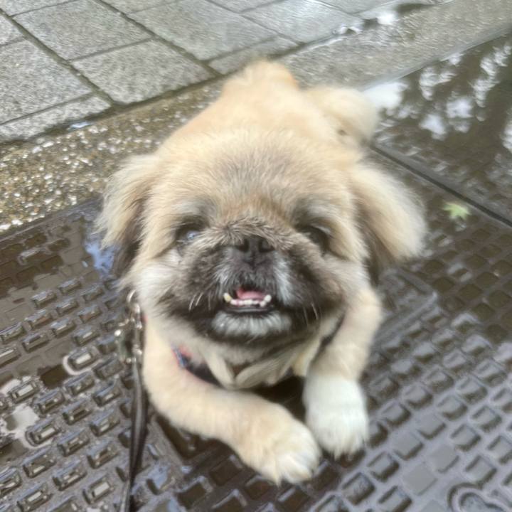 974ae87b 37be 4c36 90a5 94f09f4dfb36 1725055756378