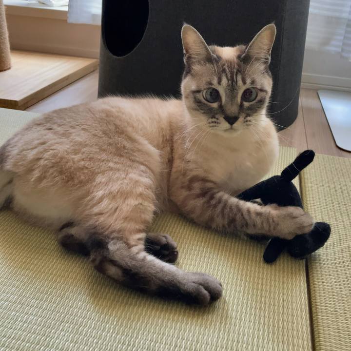 974af0d1 1536 4f1c 8669 caddbad1e276 1612670689442