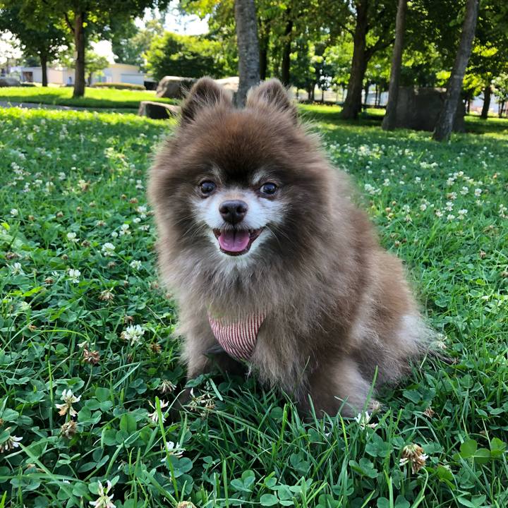 974b06f1 1c8b 41b2 83f2 156d43de7aa1 1596067774830