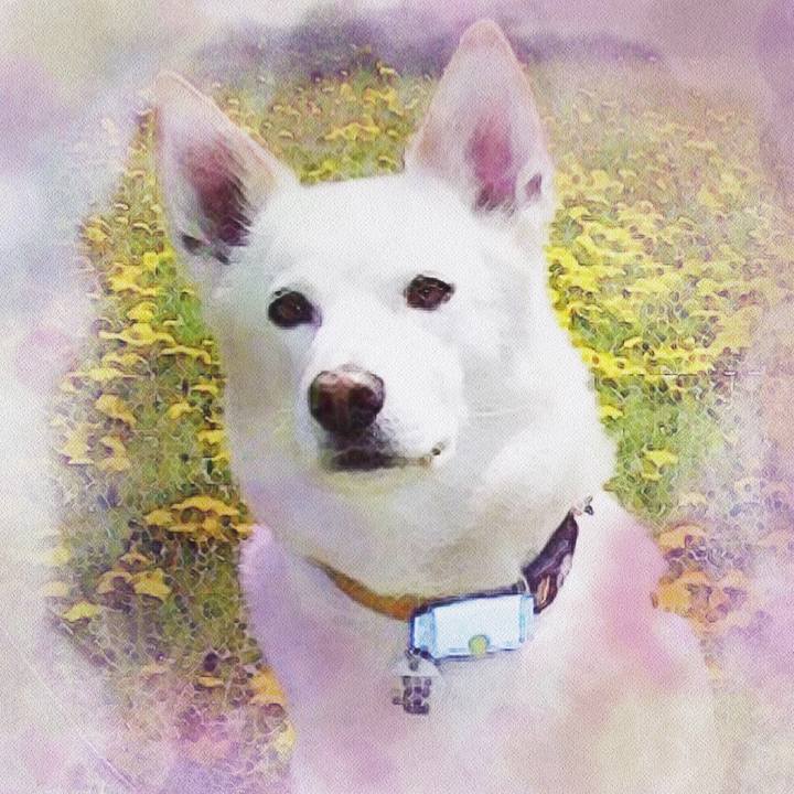 974b0d16 a3cd 4041 8df6 b8fb566fec68 1539605163471