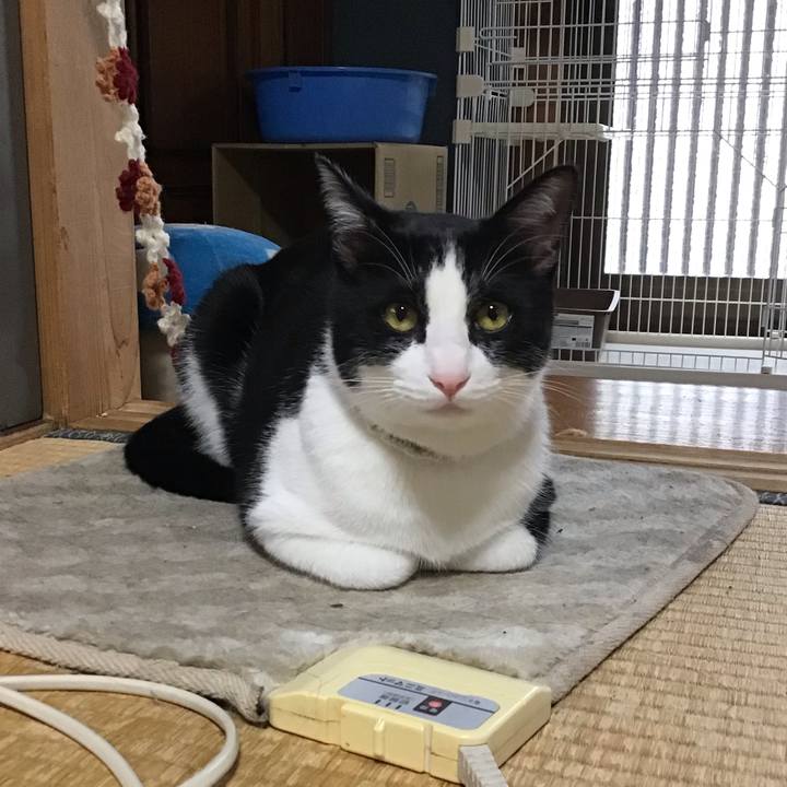 974b35e5 7588 4fe9 b579 7a6596285cde 1655421607953