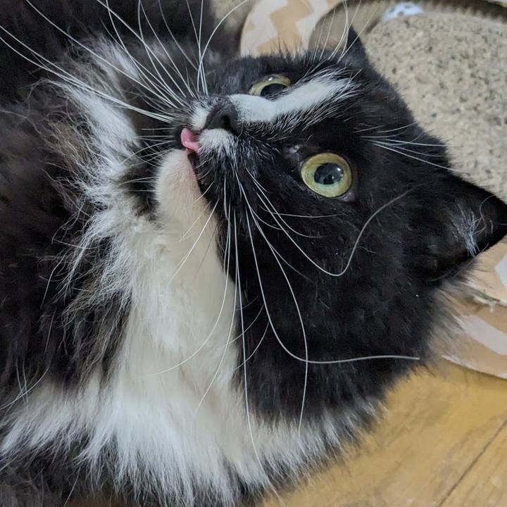 974b51ea 1af8 4e7e 80a4 a7778482b3df 1715777321307