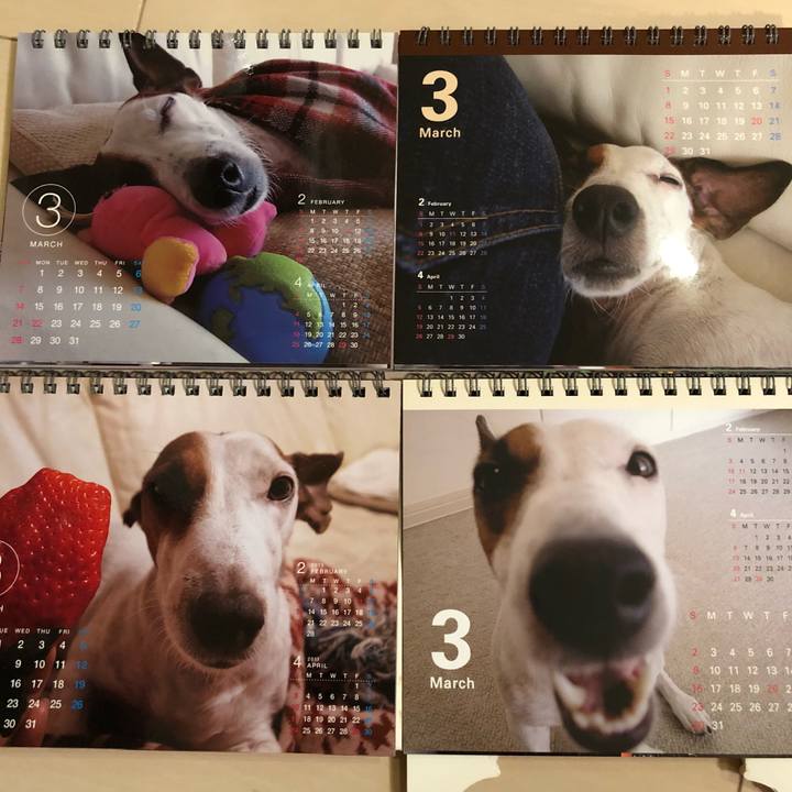 974b5b08 7df3 4084 b60e 4984bf75965e 1521631458797