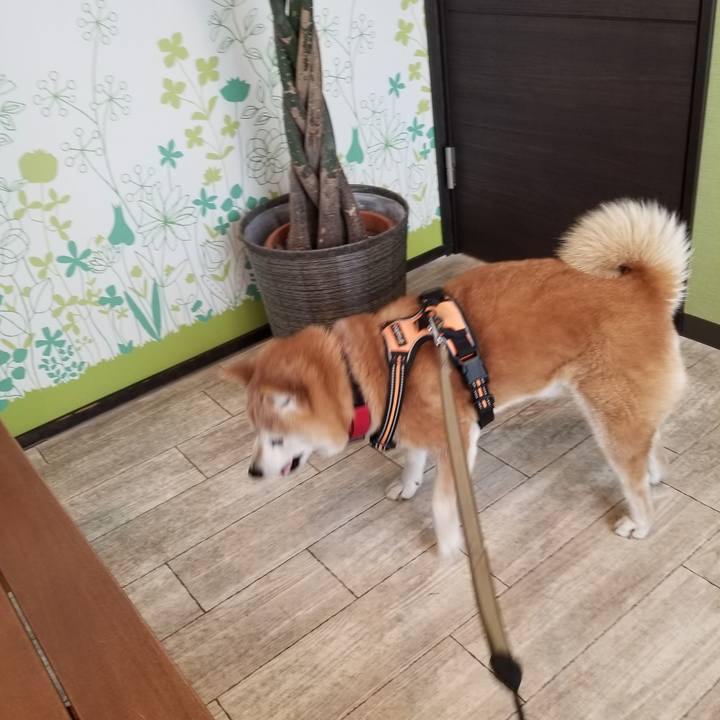 974b866a d453 4888 b73a 008937caed8a 1711685322021