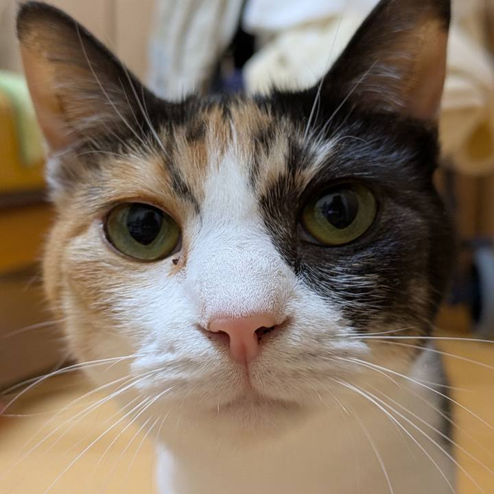 974b919a 0f7f 4252 8aa9 21a45a8476e2 1762514382245