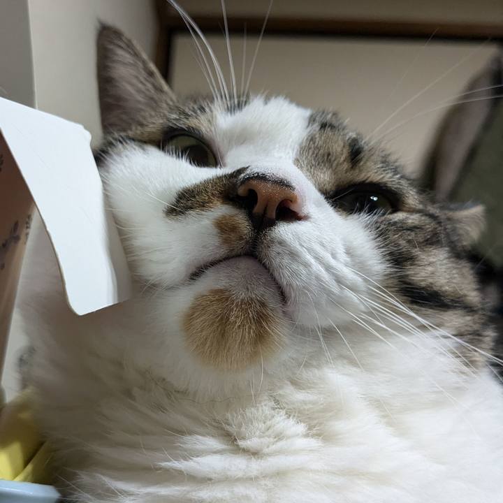 974b9c0b e740 40d9 84e0 8540b557a06f 1722939428956