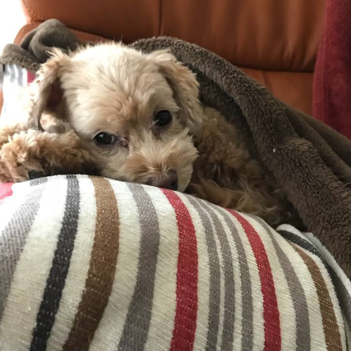 974bbafd 9ac4 4399 852c c6055b023a04 1508582374031