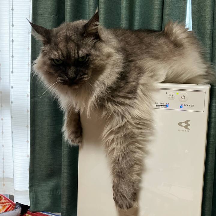 974bd84d 937f 49fc 95df 39e29e742583 1720045444294