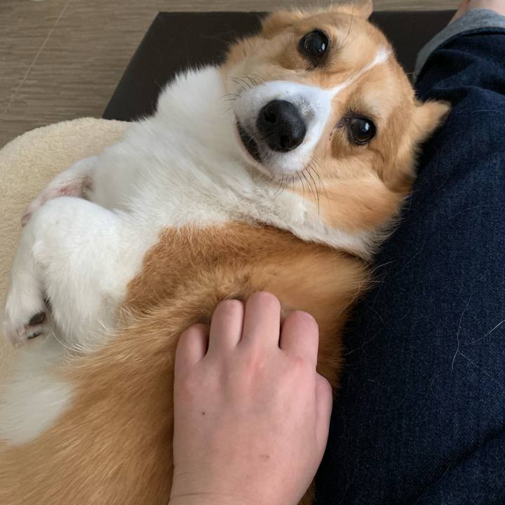 974c1123 1081 4ca3 b8d8 2a34dd960734 1587361802336