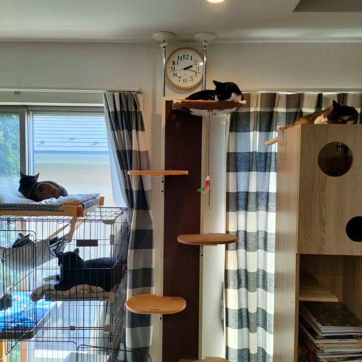 974c7adb c739 49c0 8718 349dab78ad36 1758086457536