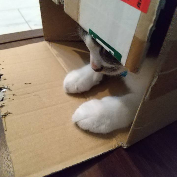 974c7b5c 9429 4172 a67e 009d0a3a1235 1601766504925