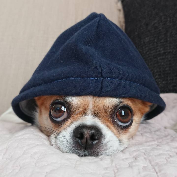 974c913f 2dd9 4734 a48a bf68af8bd39b 1615161854613