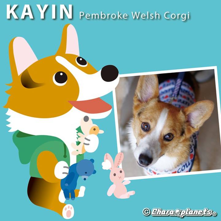 974ca3e9 6259 451f 913a 5f5e8372e6c0 1567082604999