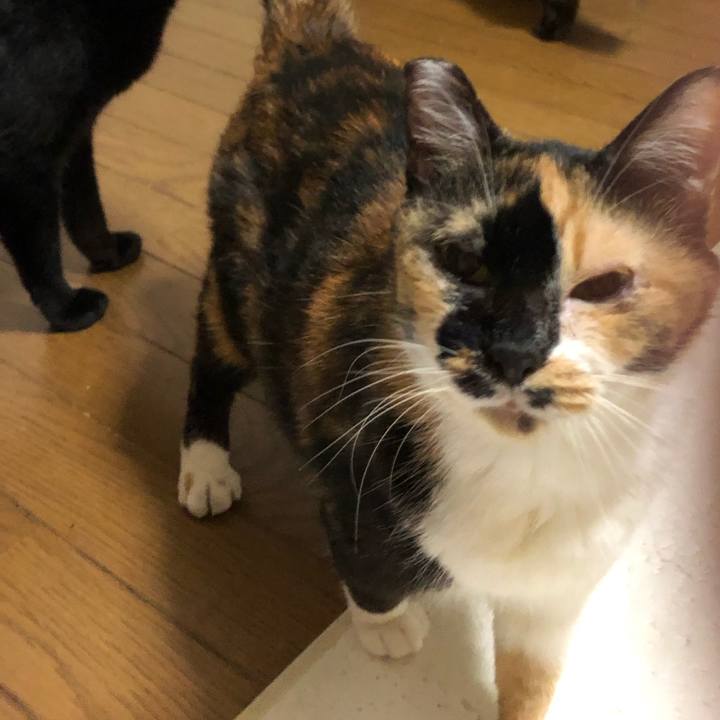 974ca6f5 28fc 4d21 b5e9 819abb5441da 1603091331027