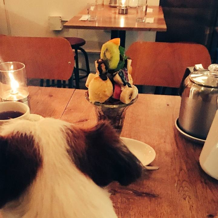 974cd4db 423b 4e83 9ec8 1a6ebcda5725 1534849502198