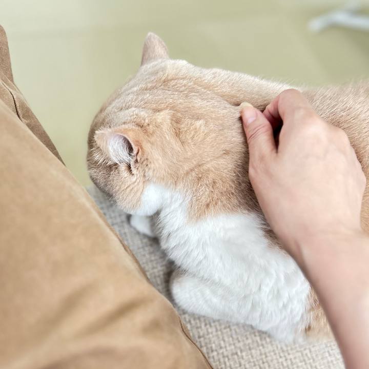 974d1f45 dccd 4b20 983a 8927554d8819 1731817187703