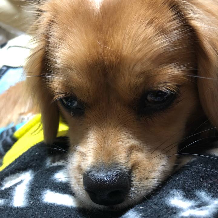 974d35fa 0366 4573 a033 04b82ec813c7 1512221712293