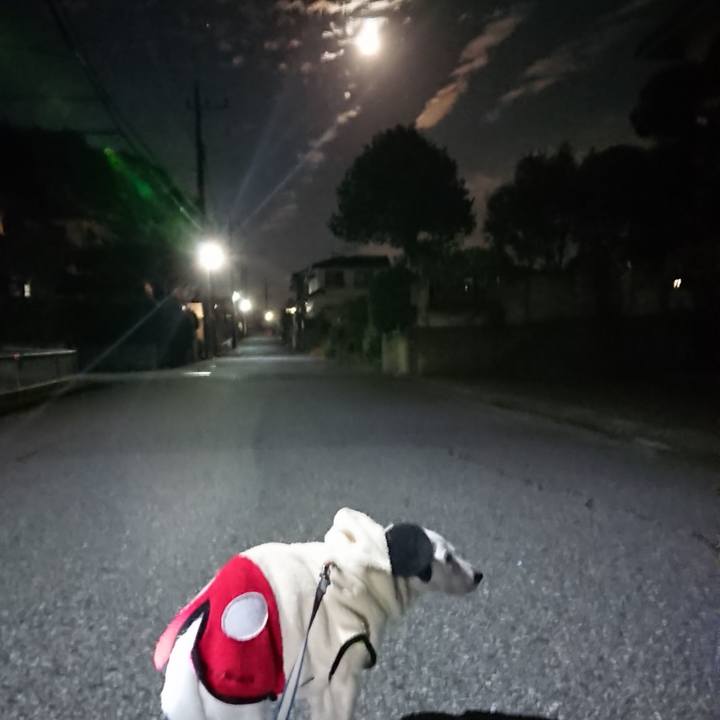 974d40ed 9782 4989 bd19 a88321e99d0b 1606776436056