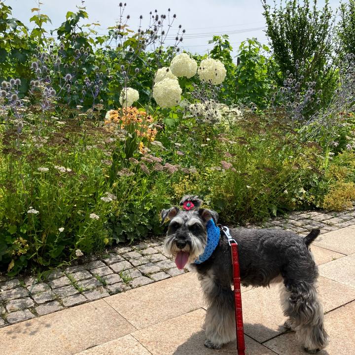 974d57d8 44d9 4c45 9924 203f6ff9e898 1721543588479