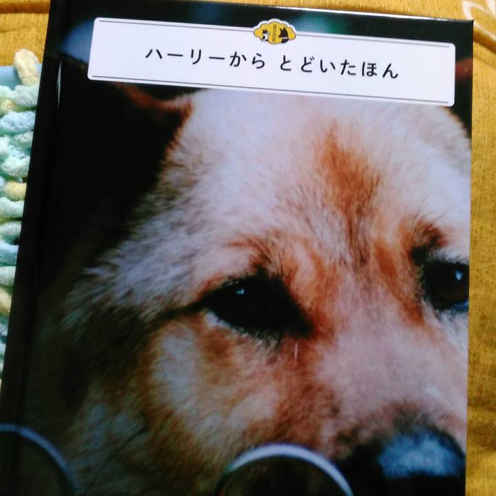 974d8368 8cd8 44c1 a635 d8e63a701079 1508575875124