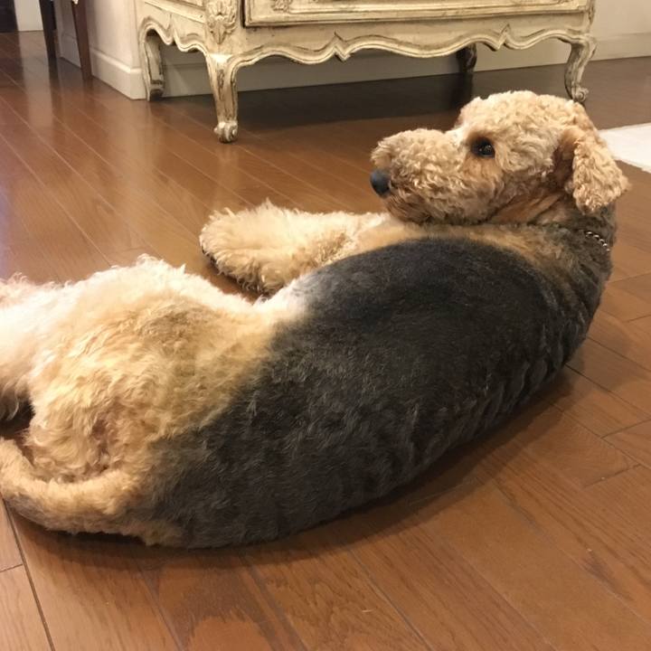 974d8e16 4f7e 4ce6 a9d5 168a1c6bce54 1568030562532