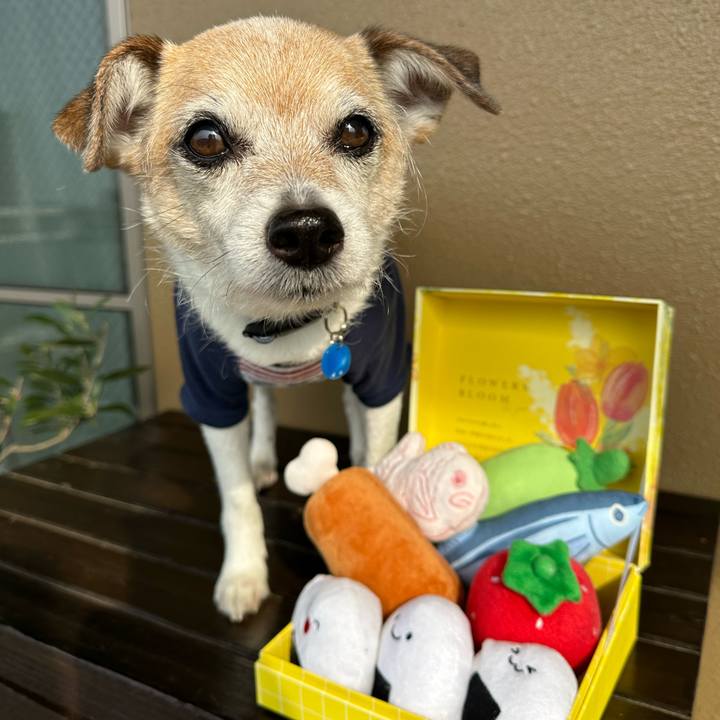 974df389 152a 42b9 b354 22b2d8711b17 1683180078424