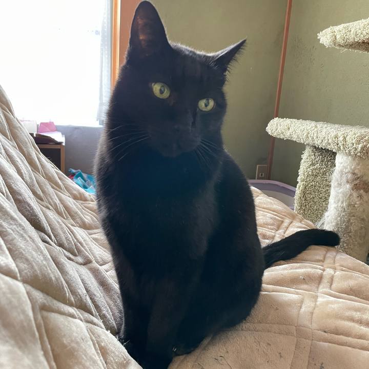 974e2a35 d3d4 4c98 8ca3 cca7c298582d 1644286704870