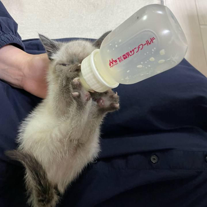 974e3698 ce48 417e 820a 9b99a6beae9b 1686659778111