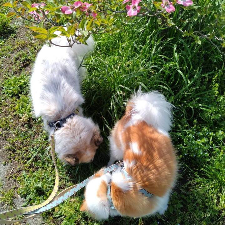 974e592a 764d 4dd7 b4fc 4a3e17f772a8 1713783229868