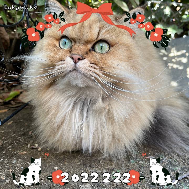 974e7705 5d08 433c b0b0 3398f12a9444 1645491362032