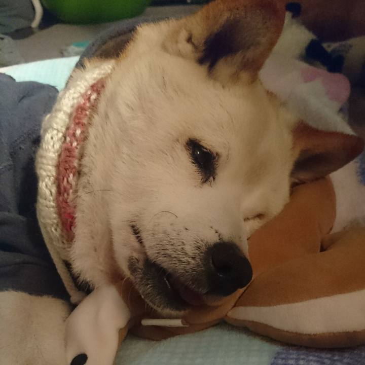 974e7e6c 2a56 4624 bd70 71b6882eaaea 1518019385829