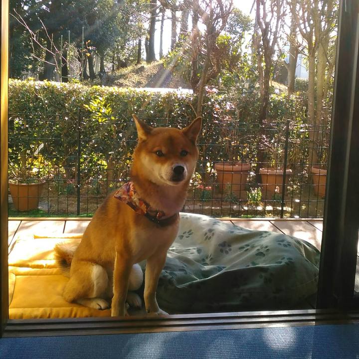 974e9ec2 d94d 4237 895e 04b8093d4483 1515904812027