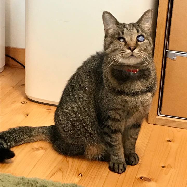 974eee16 2105 4436 8aa2 66a1d3fe64e8 1560846182995