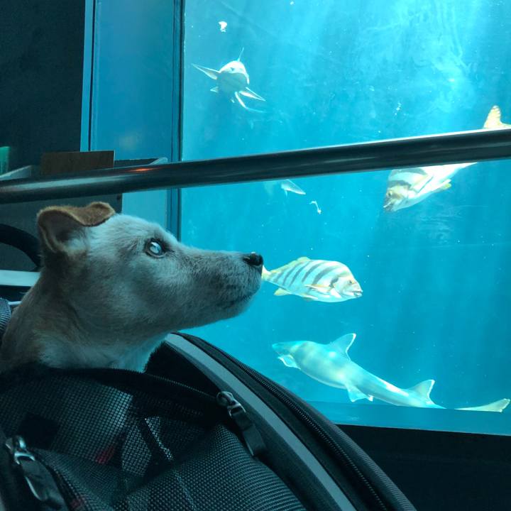 974ef545 403b 4d3b a5cf 7e735bb02a1d 1524986318332