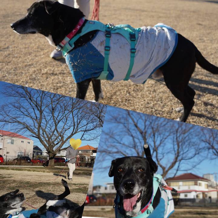 974f0362 9db3 460a 8877 fbfcbf177a9e 1769907929794