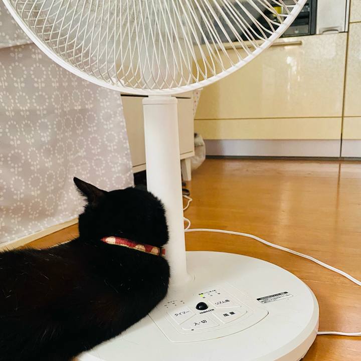 974f0f74 38ba 4237 a67c 023bfbccf64a 1659764370427