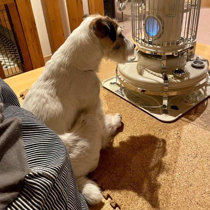 974f12e2 92c4 430e 9bc9 e6dd2c575020 1649935630529