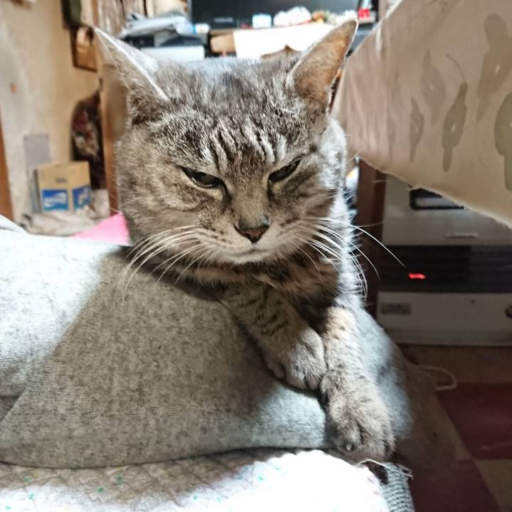 974f2c68 7bb9 4ff5 a1fa 0e578e90e6b9 1578212698211